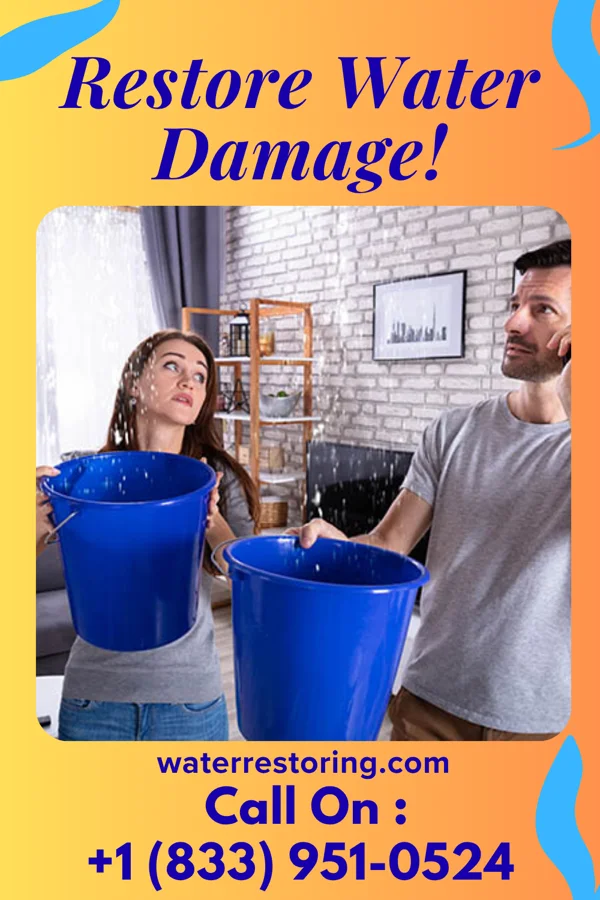 water restoration Platinum Damage Recovery Experts Boyd