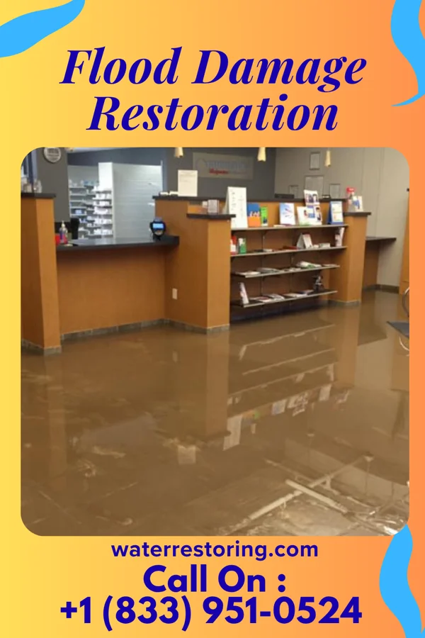 Flood Damage Restoration in Boyd, MN